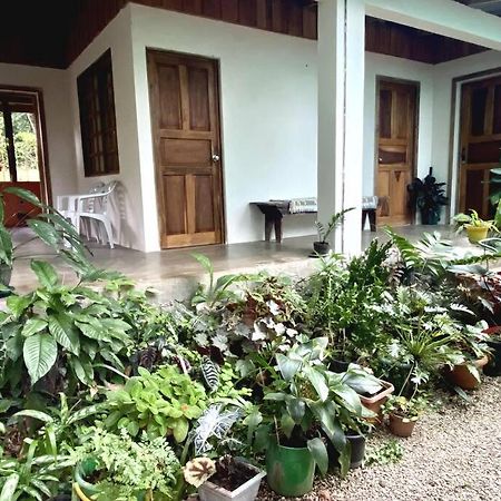 Casa Briza ξενώνας Νικόγια Εξωτερικό φωτογραφία