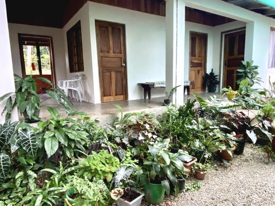 Casa Briza ξενώνας Νικόγια Εξωτερικό φωτογραφία