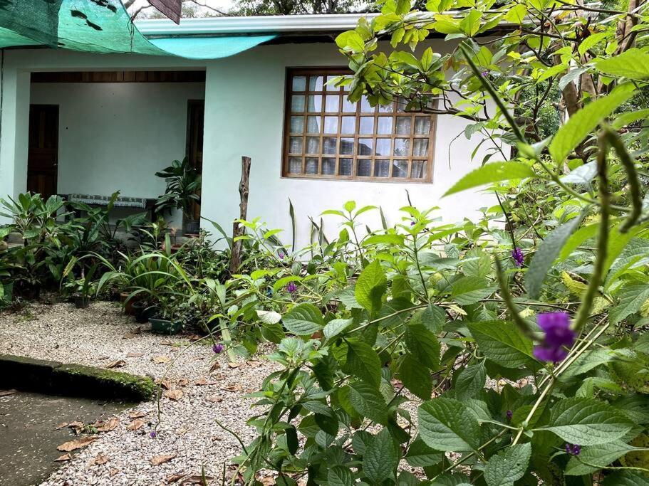 Casa Briza ξενώνας Νικόγια Εξωτερικό φωτογραφία