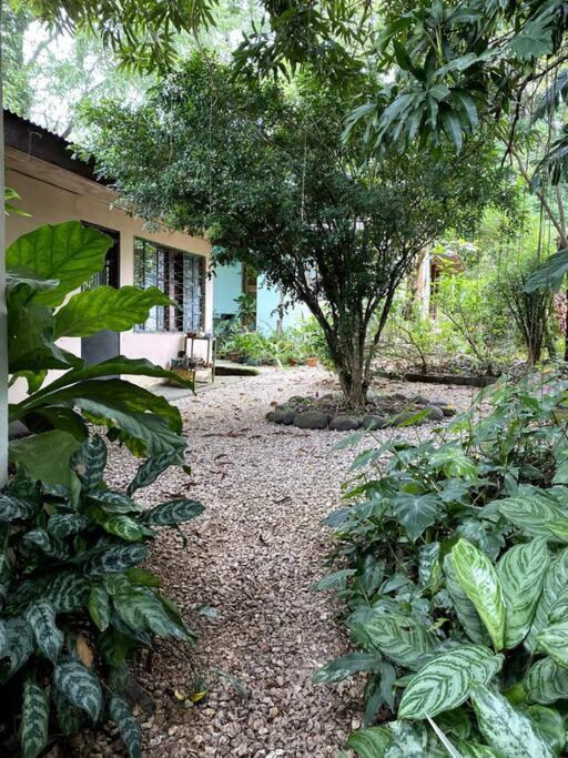 Casa Briza ξενώνας Νικόγια Εξωτερικό φωτογραφία